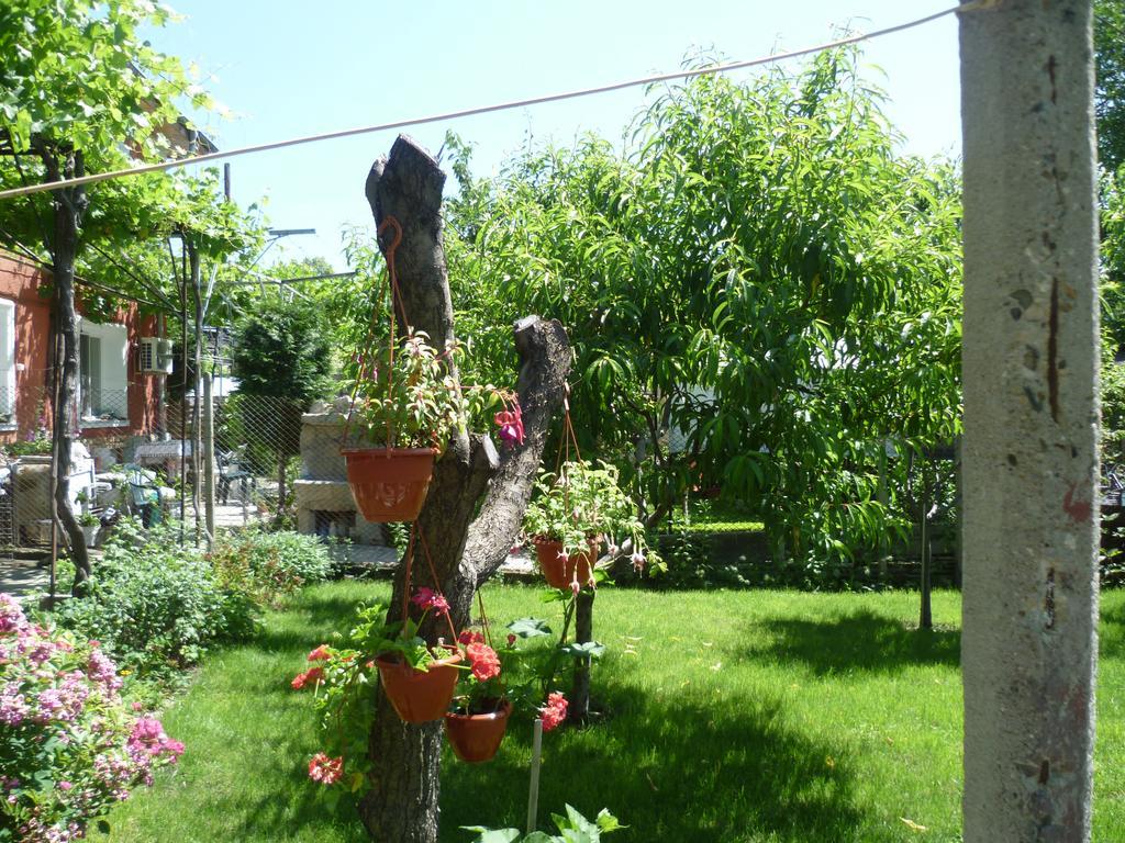 Stai Za Gosti Venera Hisarja Exterior foto